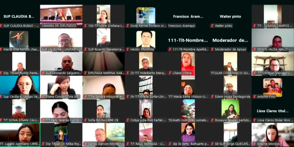 Los diputados durante la sesión virtual de este martes. Foto: Captura 