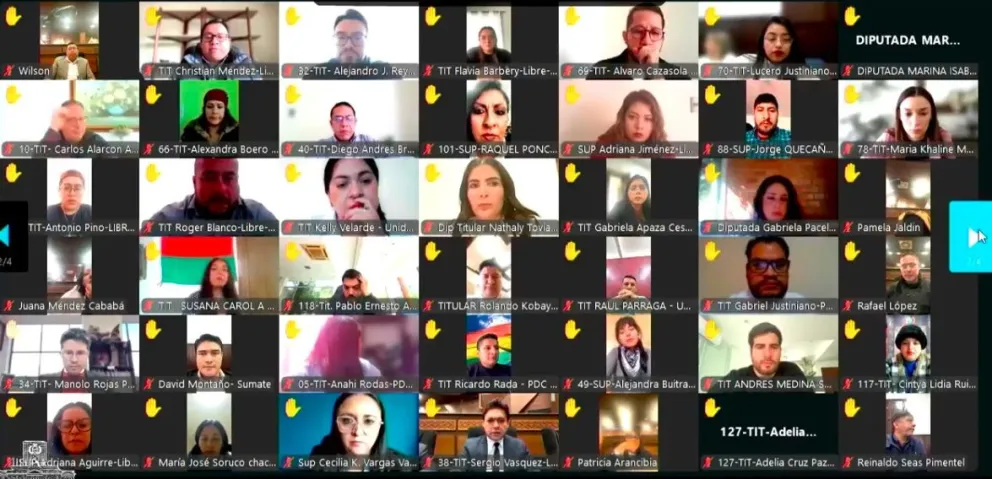 Los diputados durante la sesión virtual de este martes. Foto: Captura 