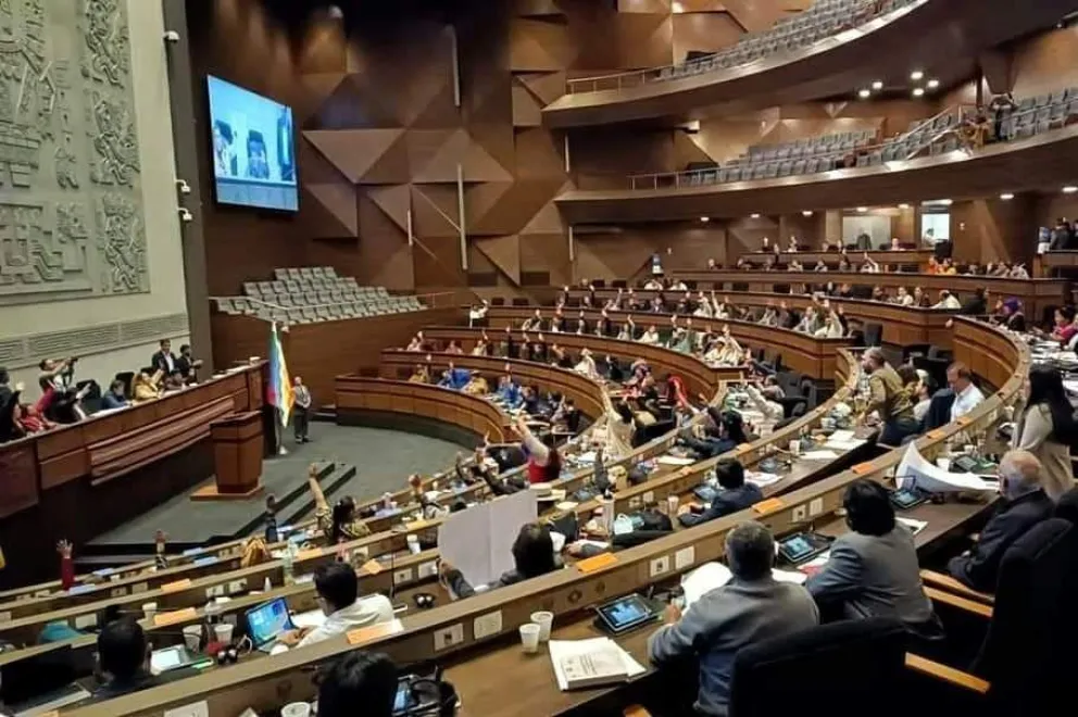 El pleno de la Asamblea Legislativa Plurinacional (ALP), Foto: ALP