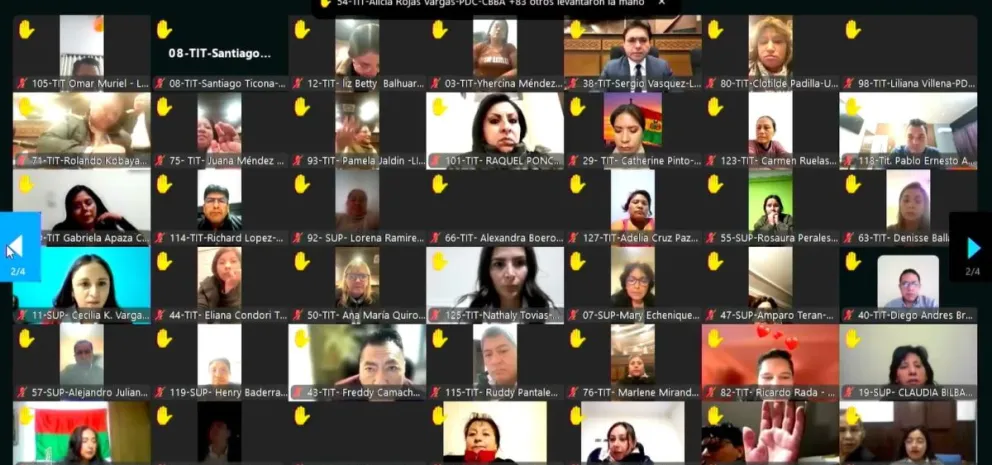 La sesión virtual de la Cámara de Diputados. 