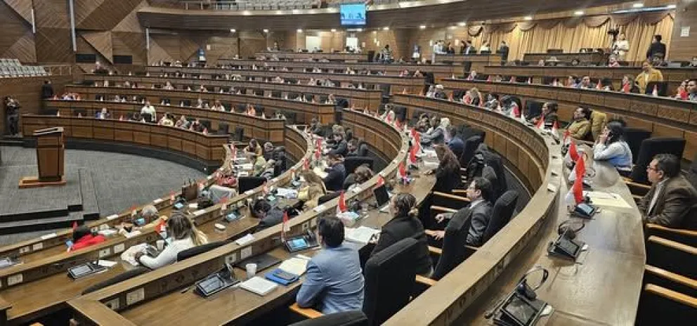 Una sesión anterior de la Asamblea Legislativa. Foto: Vicepresidencia 