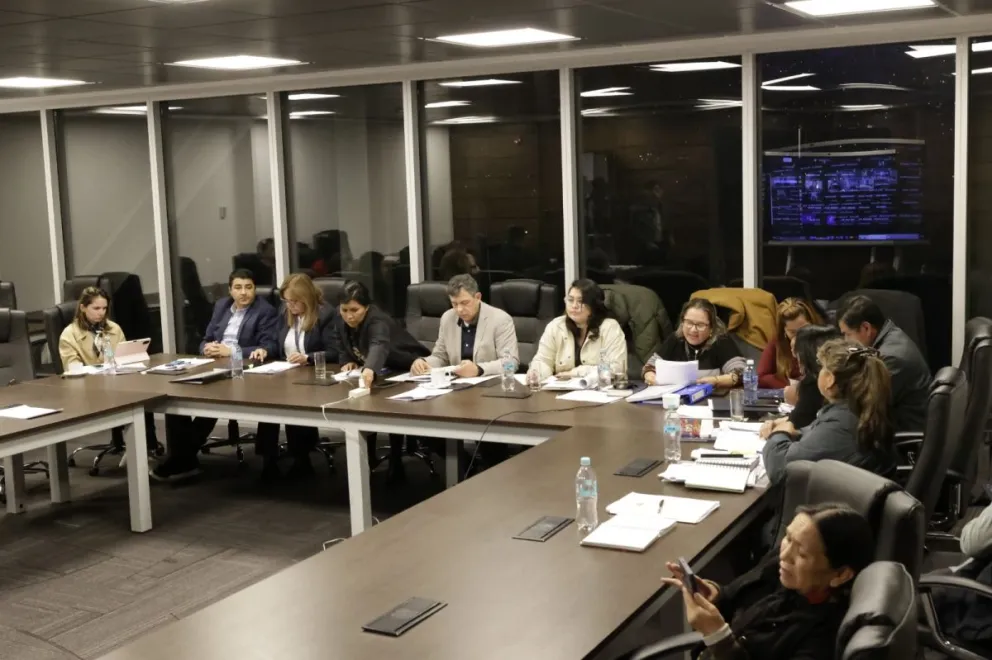 La Cámara de Senadores aprobó esta noche el proyecto de ley que regula los estados de excepción. Foto Cámara de Senadores 