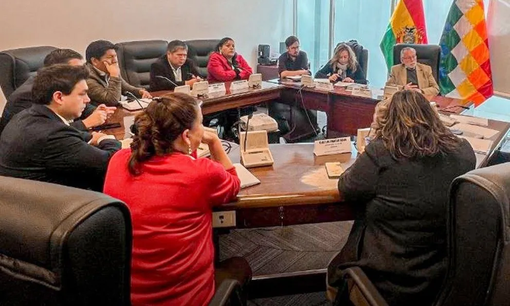 Una sesión de la Comisión de Constitución de la Cámara Baja. Foto: Diputados 