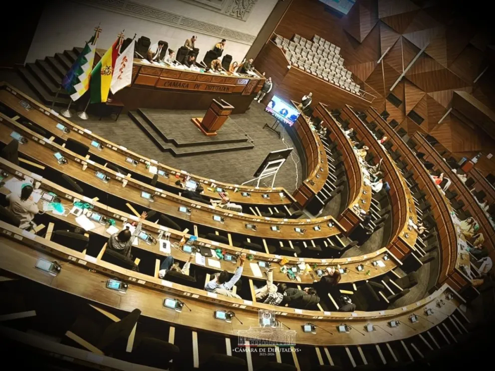 La Cámara de Diputados sancionó la Ley de Regularización de Estados de Excepción. Foto: Cámara de Diputados