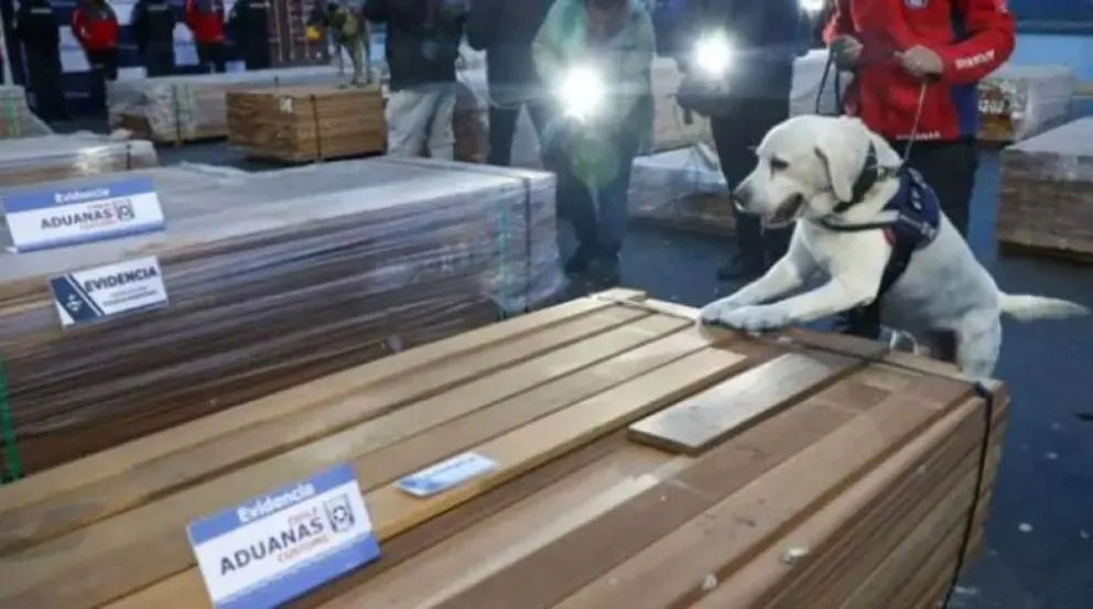 Contenedores con material forestal impregnados con droga. Foto: CNN Chile