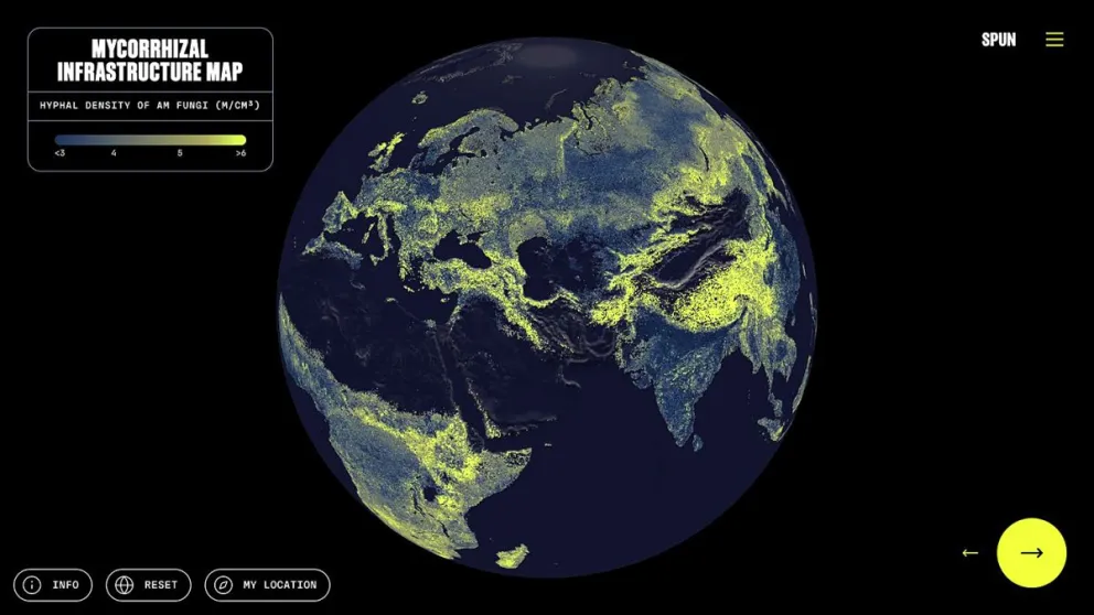 Un equipo internacional de investigadores ha elaborado el primer mapa global del 'sistema circulatorio' de la Tierra. Foto: EFE