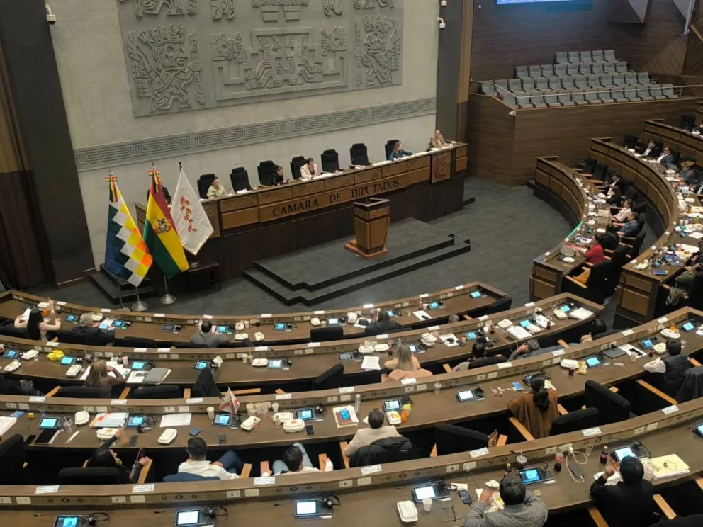 La sesión de la Cámara de Diputados. Foto: Archivo