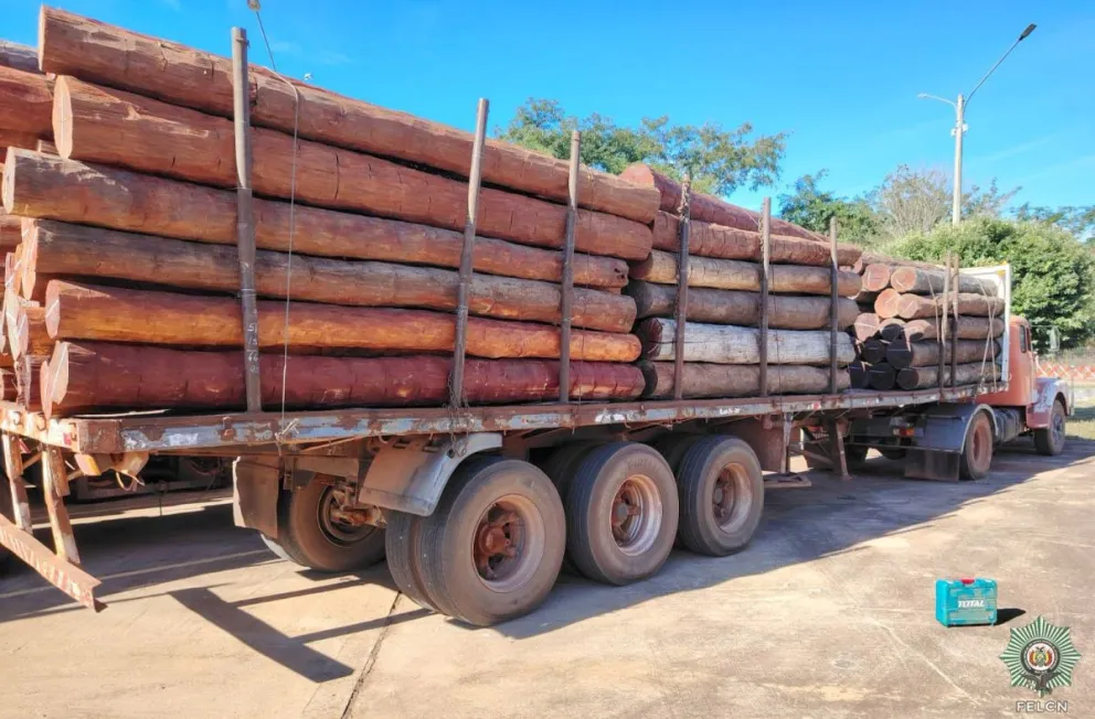 Madera incautada en la frontera entre Bolivia y Brasil. Foto: Felcn