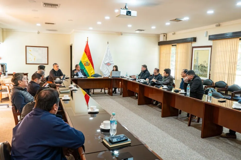 La Comisión retomará el análisis del proyecto la próxima semana a partir del artículo 20. Foto: ALP