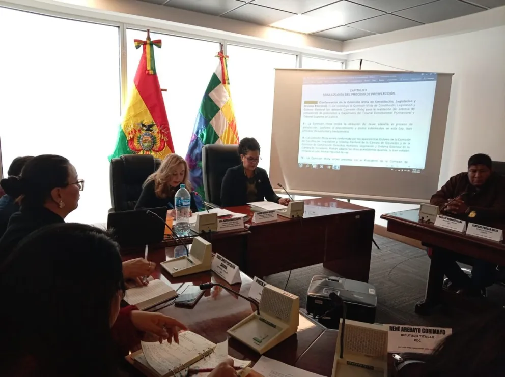 La Comisión retomará el análisis del proyecto la próxima semana a partir del artículo 20. Foto: ALP