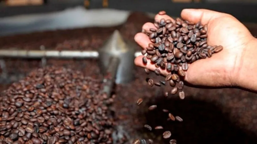 El café boliviano marcó un récord en exportación el 2025. Foto: RRSS