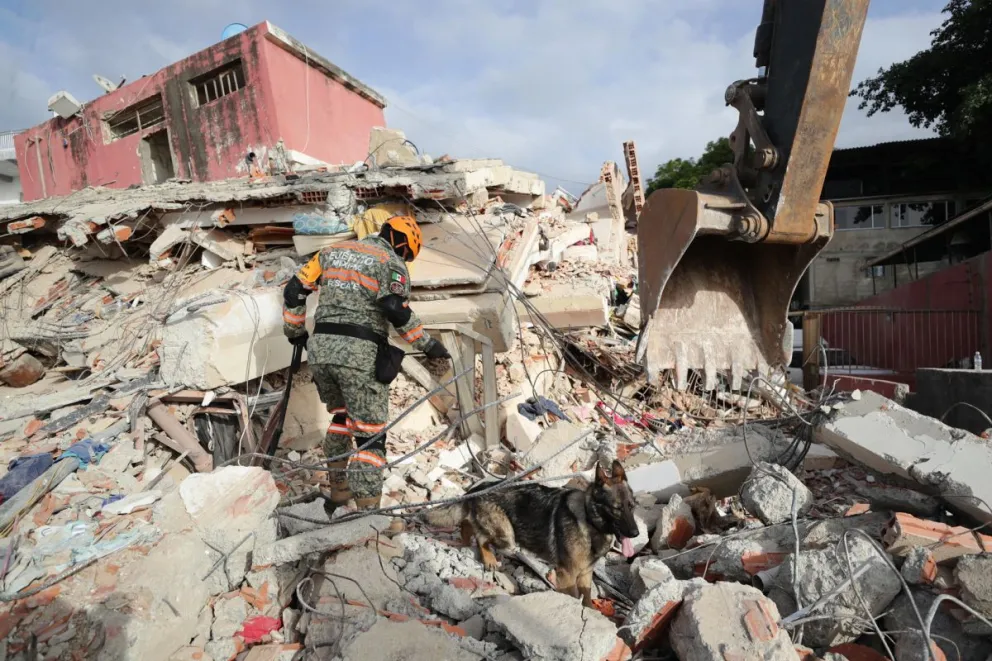Un rescatista del Ejercito de México junto a su perro trabajan en un edificio afectado por los terremotos del pasado miércoles, en La Guaira (Venezuela). Foto: EFE