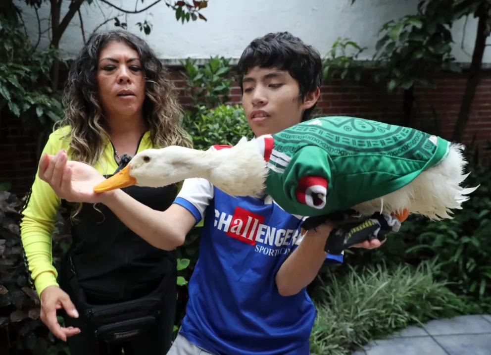 Vestido con la camiseta verde y un sombrero de charro, el pato Merlín junto a sus dueños. Foto: EFE.