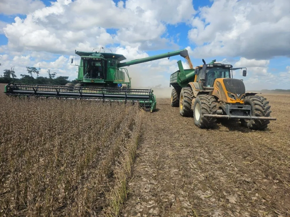 Maquinaria pesada durante la cosecha de soya. Foto: ANAPO
