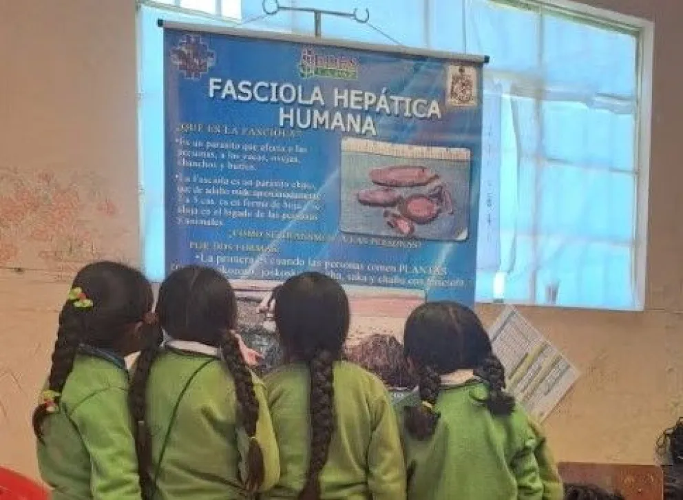 Niñas observan una campaña contra la fasciolosis hepática en La Paz. Foto: OPS
