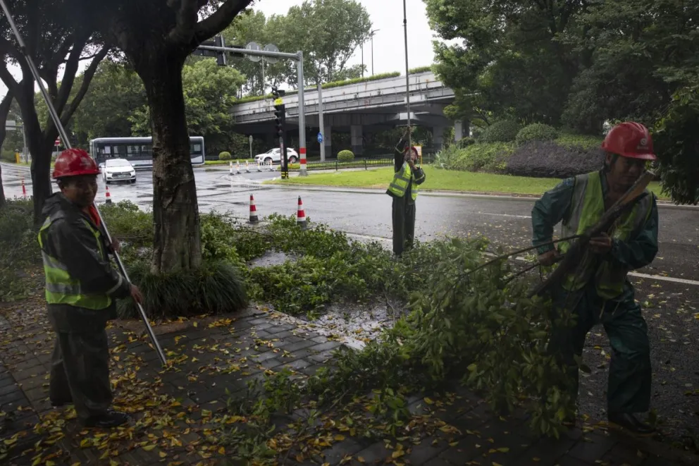Trabajadores cortan y retiran ramas de árboles ante la llegada del tifón Bavi en Wenzhou, provincia de Zhejiang (China), el 11 de julio de 2026. Se prevé que el tifón Bavi, el noveno de la temporada, toque tierra entre el 11 y el 12 de julio. Foto: EFE
