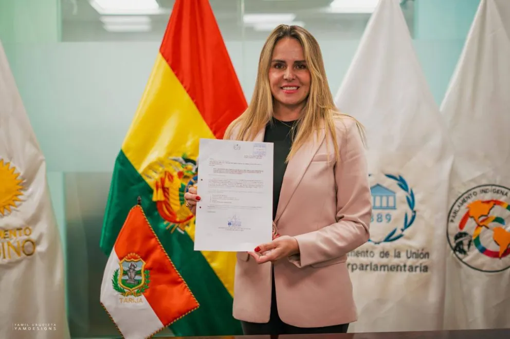 La diputada de la alianza Unidad Karina Liebers. Foto: Cámara de Diputados