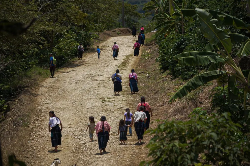 Vista de indígenas desplazados en las montañas del estado de Chiapas (México). Fotografía de archivo. Foto: EFE