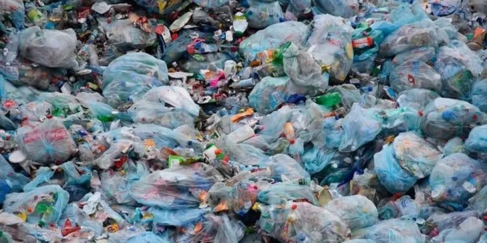 Las bolsas plásticas contaminan el medioambiente. Foto ANA