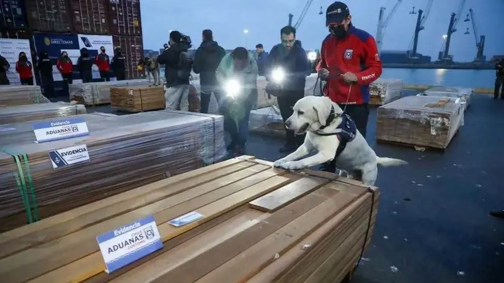 El 8 de junio de este año estalló el caso “narcomaderas”, que provocó cuantiosas pérdidas al sector exportador de madera. Foto: Opinión