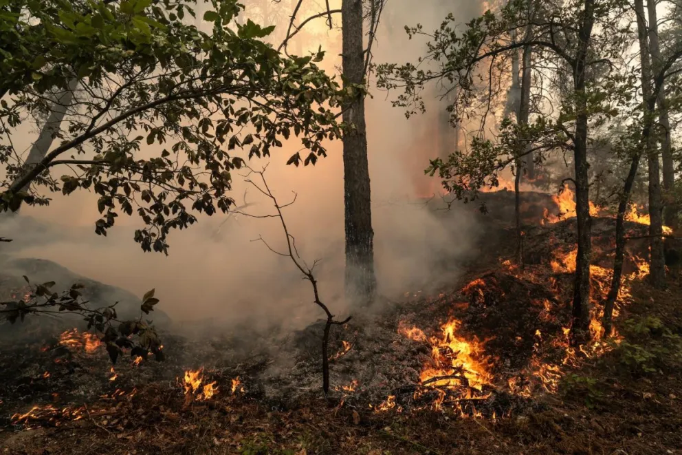El incendio en el bosque de Fontainebleau, en Noisy-sur-Ecole, en las cercanías de París. Foto: EFE
