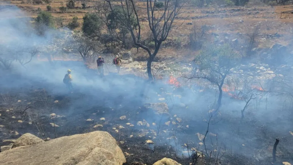 Bomberos trabajan en una zona de incendio. Foto: Apuntes Informativos Tarija