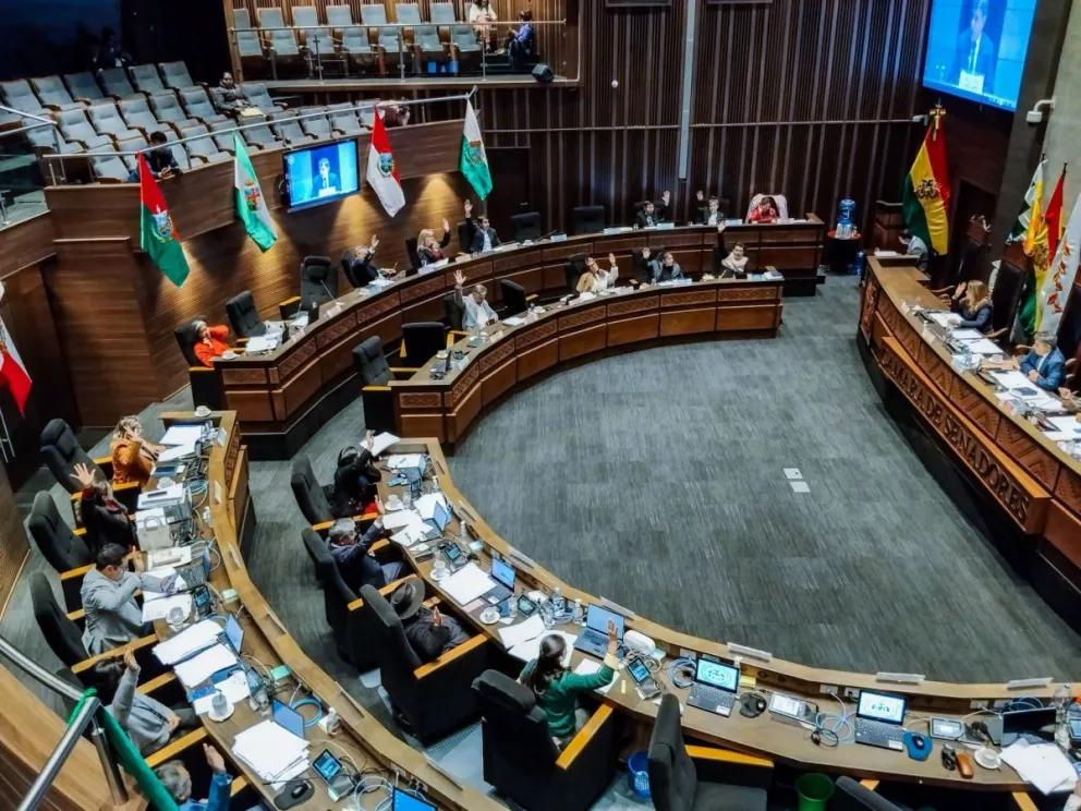 Una sesión del Senado. Foto: Senado