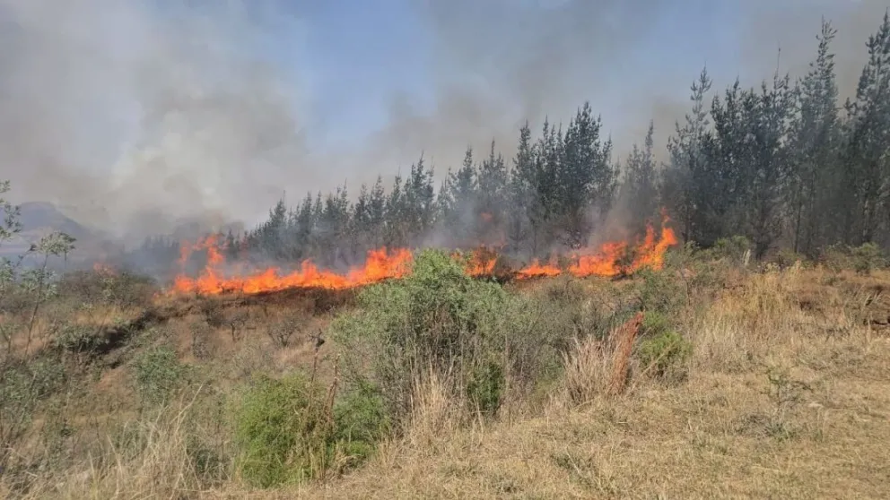 Un incendio registrado en San Lorenzo, Tarija. Foto: Fiscalía General del Estado