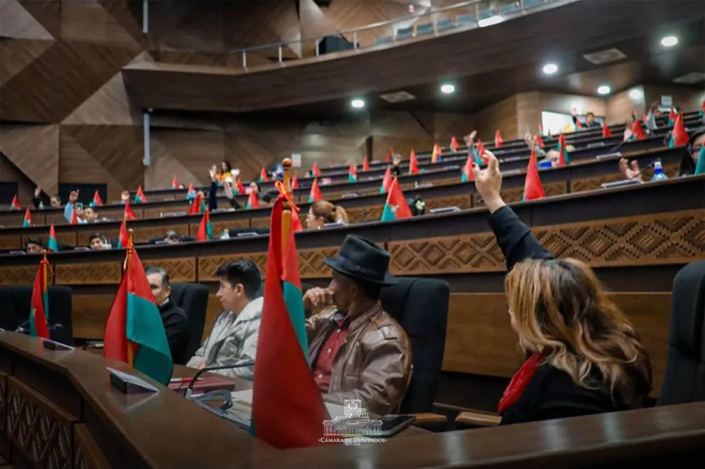 En Diputados fue aprobado el crédito con el BID. Foto: Diputados