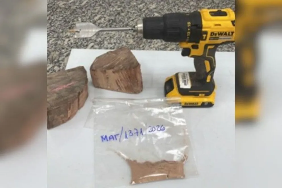 Las muestras tomadas a la madera boliviana incautada. Foto:g1.globo.com