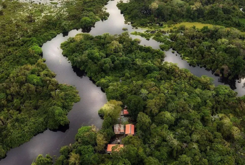 Amazonía boliviana. Foto: Ministerio de Turismo
