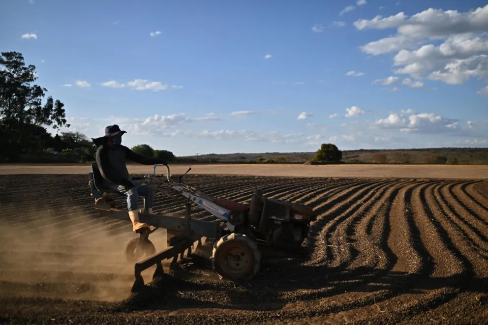 Un hombre que trabaja en el secado de granos en una plantación de café, en una zona rural en Brasilia (Brasil). Foto: EFE/