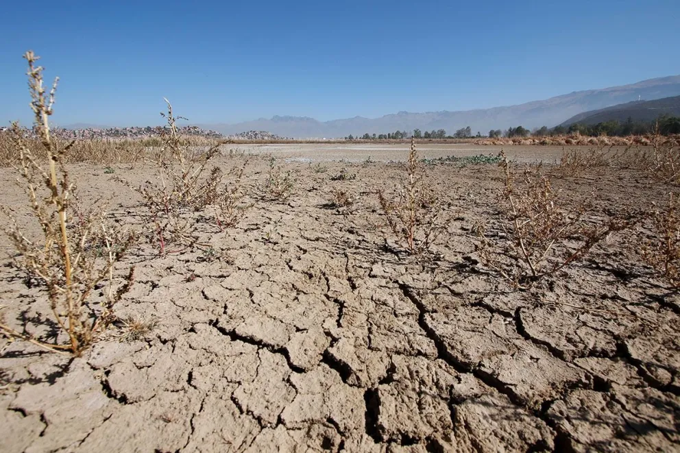 Las sequías severas son, efectivamente, uno de los efectos principales y más destructivos del fenómeno del Súper Niño. Foto: UMSA