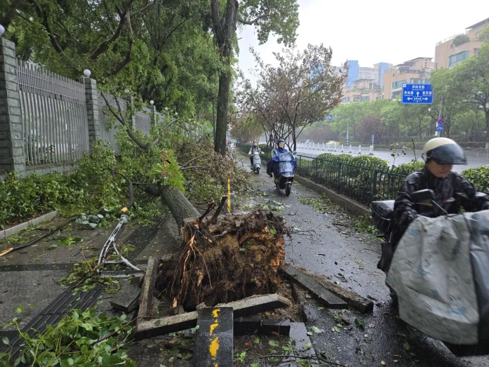 El tifón dejó 1,6 millones de evacuados preventivos. Foto: EFE 