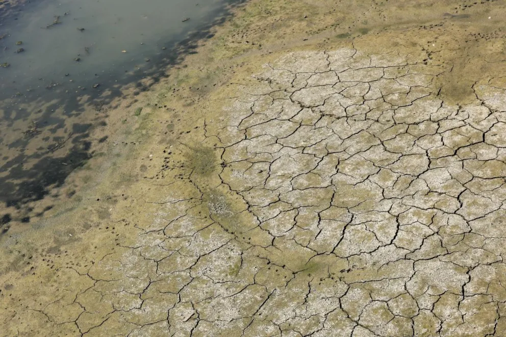 Vista del suelo agrietado a lo largo del río Rin con bajos niveles de agua en Colonia, en Alemania. Foto: EFE
