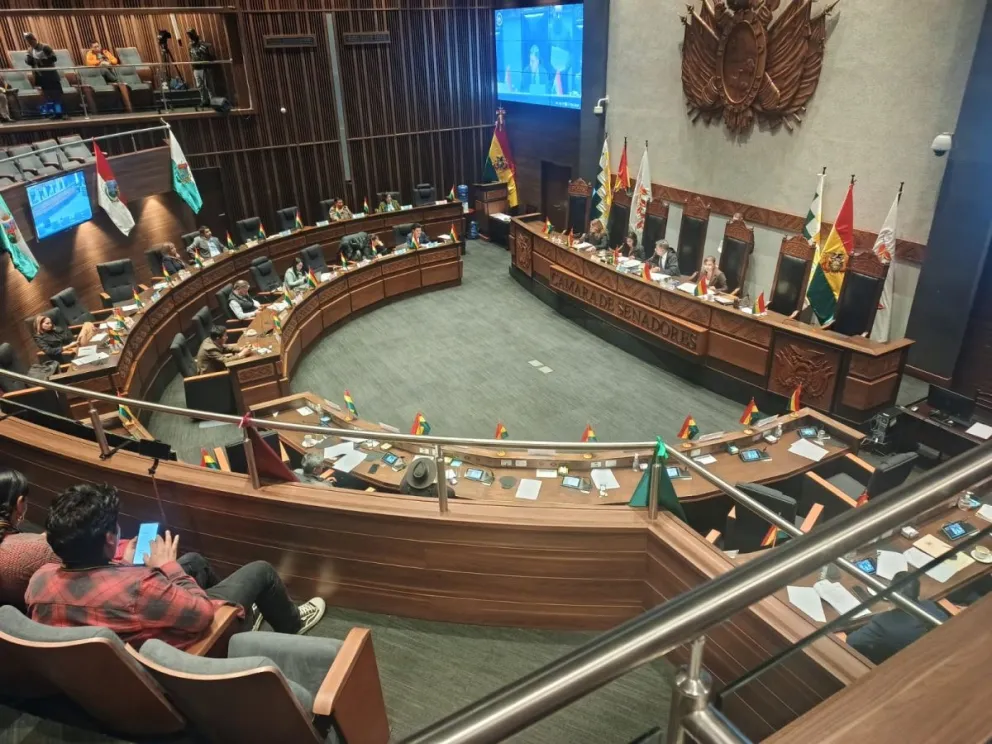 La Cámara de Senadores que trató la ley deportiva. Foto: Sports 360.