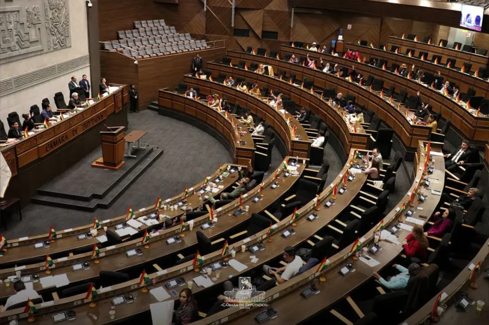 El pleno de Diputados en la que se aprobó el informe de la Comisión Especial. Foto: Cámara de Diputados