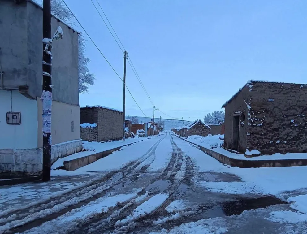 La nevada afectó a varias regiones del sur potosino. Foto: Viceministerio de Defensa Civil