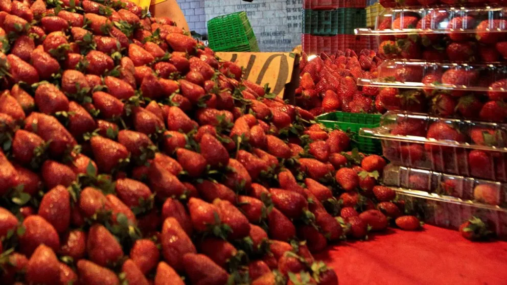 Fotografía de archivo de un expendio de fresas en la central de Abastos de Ciudad de México (México). EFE