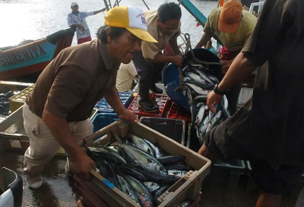Fotografía de archivo en la que se captó a un grupo de pescadores artesanales del Puerto de Ilo, en el departamento de Moquegua (sur de Perú). Foto: EFE