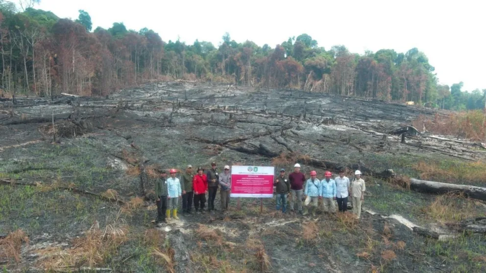 El Gobierno indonesio ha impuesto sanciones a seis compañías por incendios en terrenos bajo su gestión en la isla de Borneo. Foto: EFE 