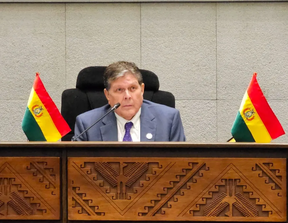 Marcelo Blanco, ministro de Hidrocarburos, en el Legislativo este martes. Foto: Vicepresidencia  