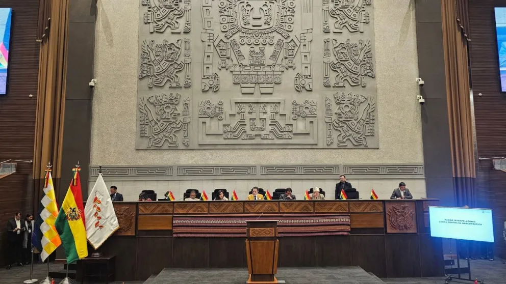 La sesión de la ALP que interpeló a Oviedo, este miércoles. Foto: Vicepresidencia