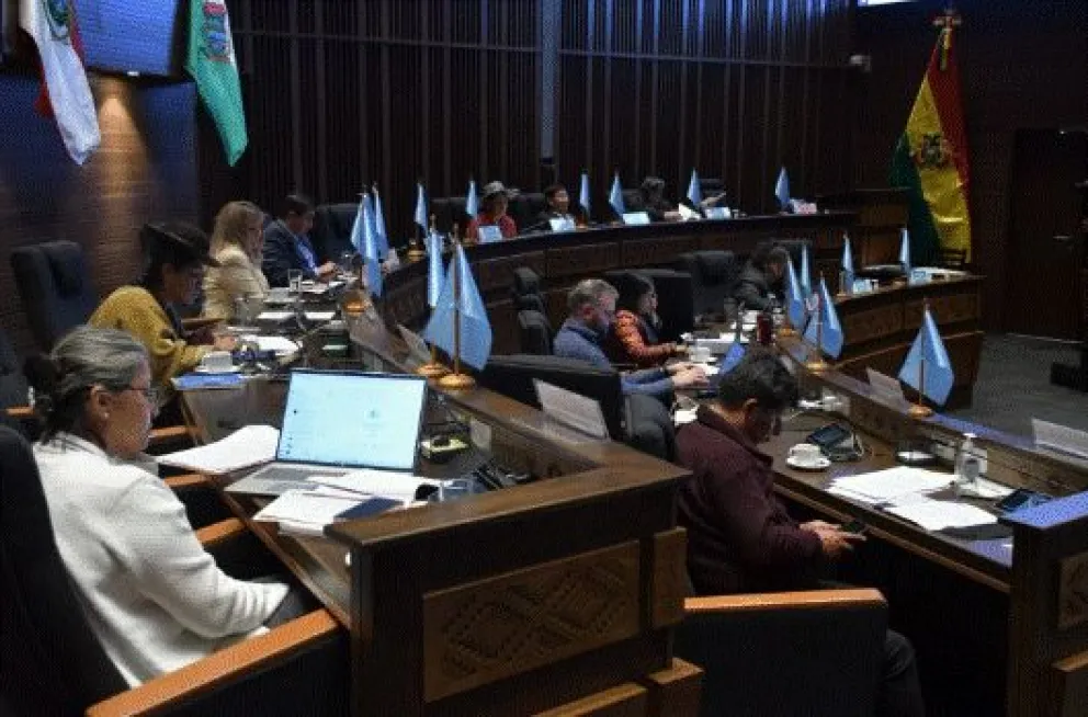 Sesión en la Cámara de Senadores. Foto: Cámara Alta