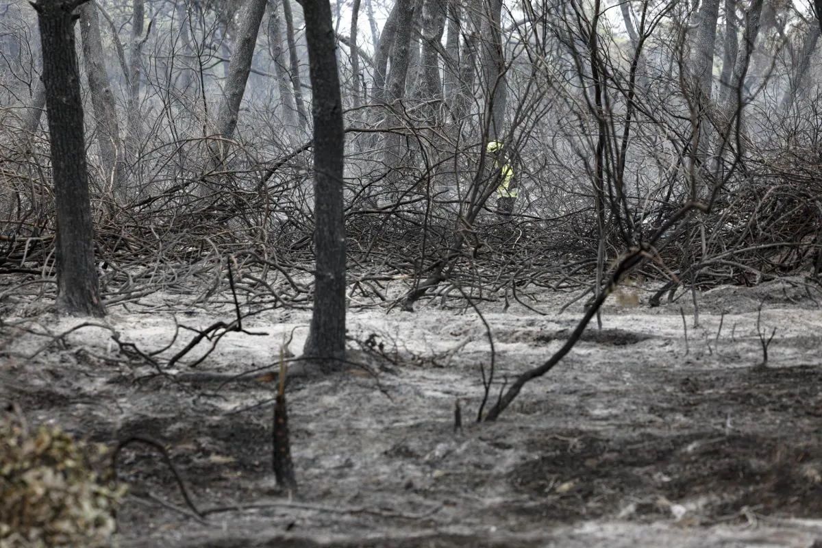 Wildfire damage in Europe is down 35% from last year