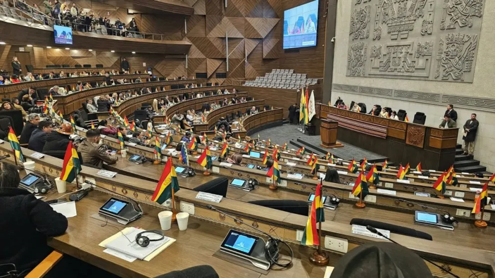 El pleno de la Asamblea Legislativa Plurinacional. Foto: Vicepresidencia del Estado