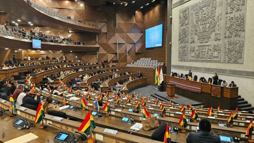El pleno de la Asamblea Legislativa Plurinacional. Foto: Vicepresidencia