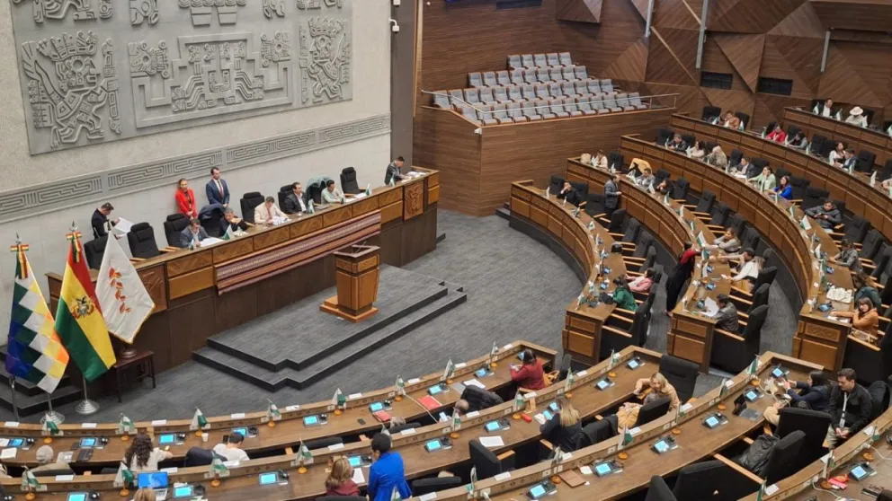 La ALP instaló su sesión con quorum en ambas cámaras para definir si acepta o rechaza la ampliación del Estado de excepción por otros 90 días. Foto: Edmundo Morales