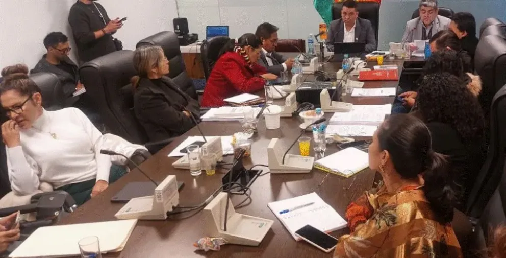 La Comisión de Planificación de la Cámara de Diputados. Foto: Unitel