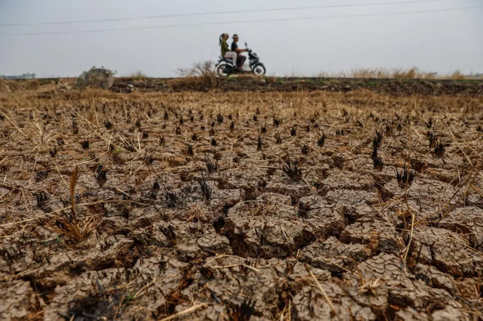 Un automovilista conduce una motocicleta cerca de arrozales secos en Jonggol, Java Occidental, Indonesia, 17 de septiembre de 2026. Foto: EFE